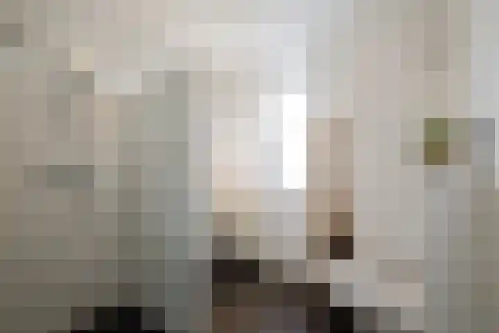 Ringmus 47 Olst thumbnail 17
