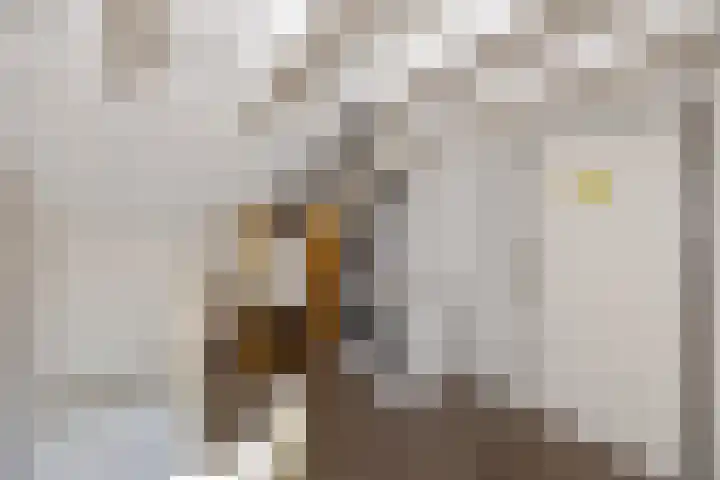 Ringmus 47 Olst thumbnail 21