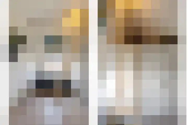 Ringmus 47 Olst thumbnail 22