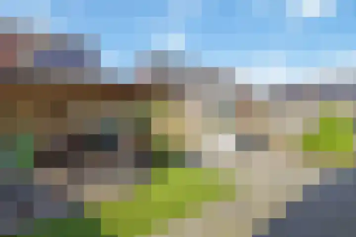 Ringmus 47 Olst thumbnail 24