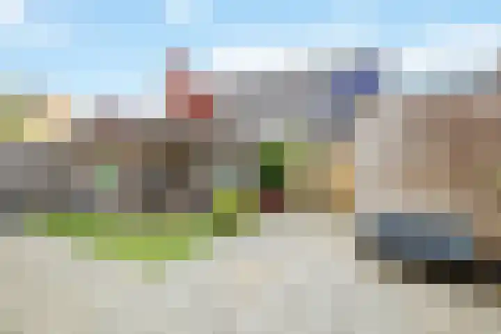 Ringmus 47 Olst thumbnail 25