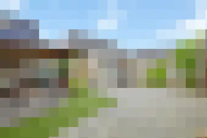 Ringmus 47 Olst thumbnail 26