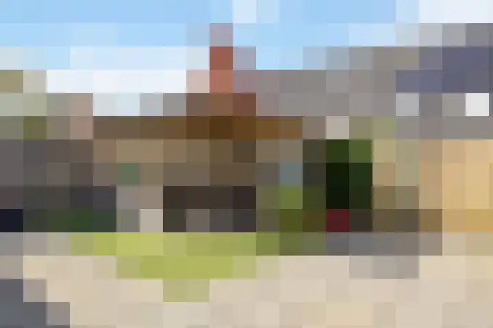 Ringmus 47 Olst thumbnail 27