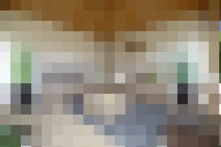 Ringmus 47 Olst thumbnail 28