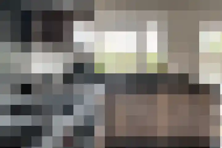 Ringoven 1 Tolkamer thumbnail 21