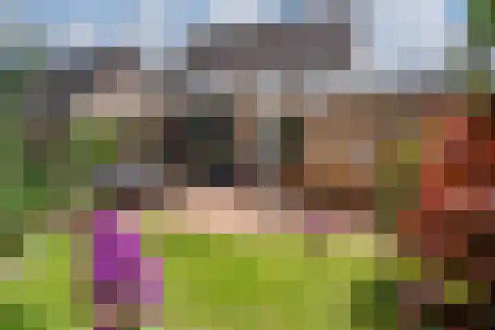 Ringoven 1 Tolkamer thumbnail 49
