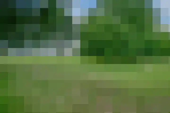 Ringoven 1 Tolkamer thumbnail 51