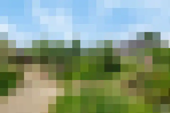 Ringoven 10 Veghel thumbnail 35