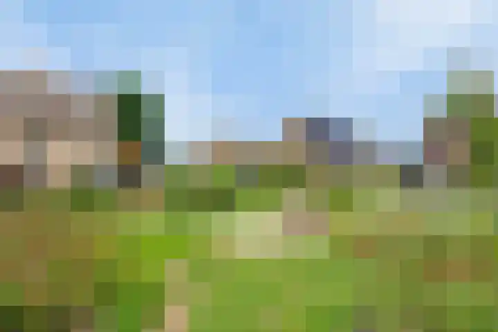 Ringoven 10 Veghel thumbnail 37