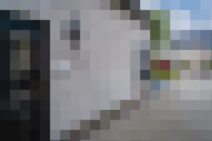 Ringoven 12 Tolkamer thumbnail 10