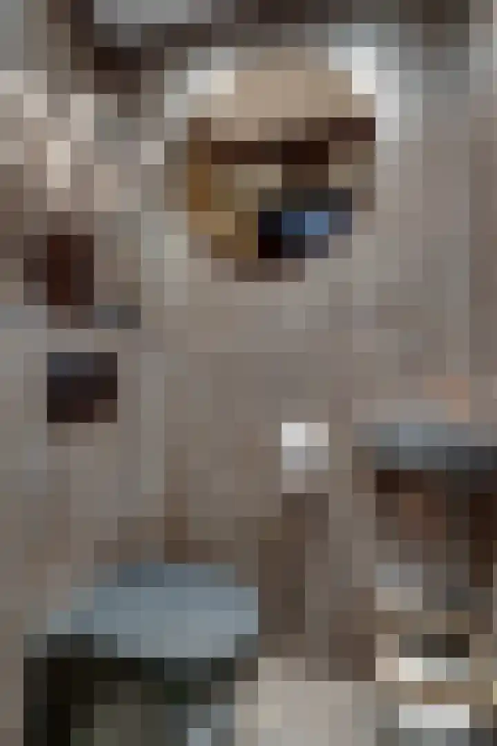 Ringoven 12 Tolkamer thumbnail 12