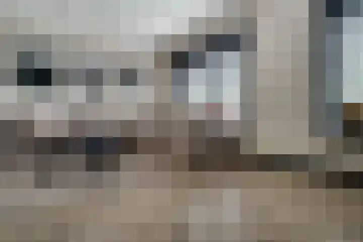 Ringoven 12 Tolkamer thumbnail 13