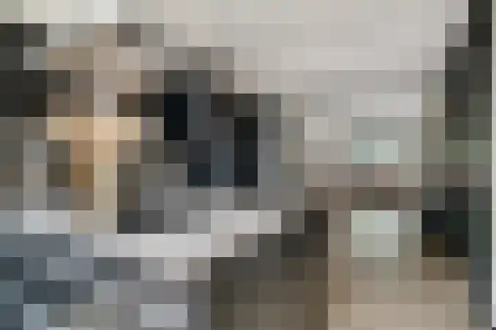 Ringoven 12 Tolkamer thumbnail 21
