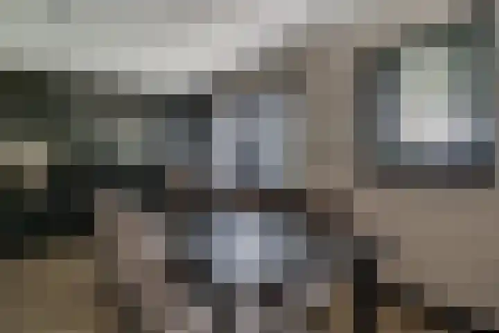 Ringoven 12 Tolkamer thumbnail 24