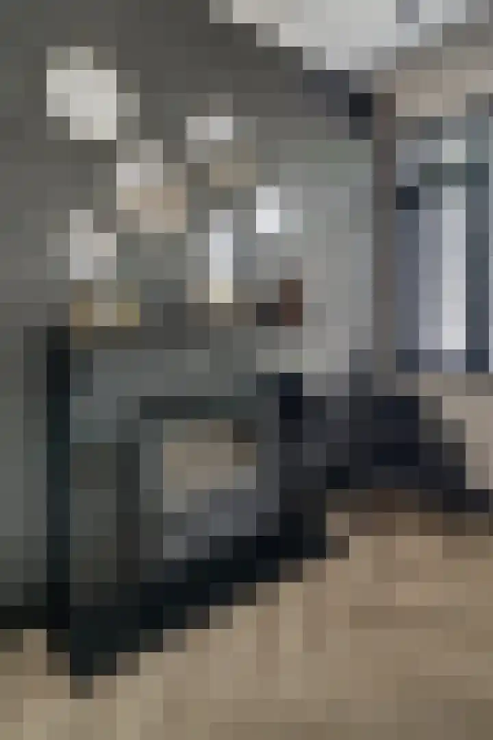 Ringoven 12 Tolkamer thumbnail 25