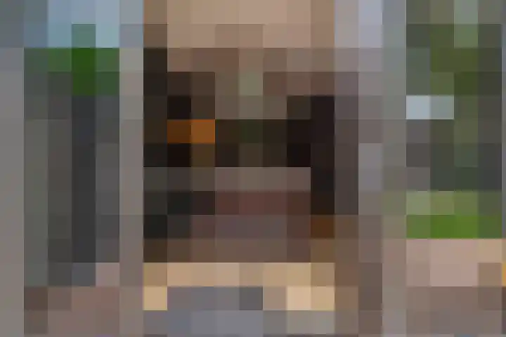 Ringoven 12 Tolkamer thumbnail 27