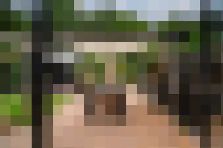 Ringoven 12 Tolkamer thumbnail 28
