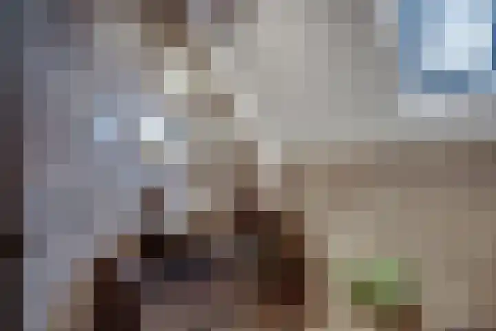 Ringoven 12 Tolkamer thumbnail 45
