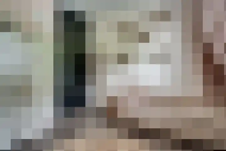 Ringoven 12 Tolkamer thumbnail 46