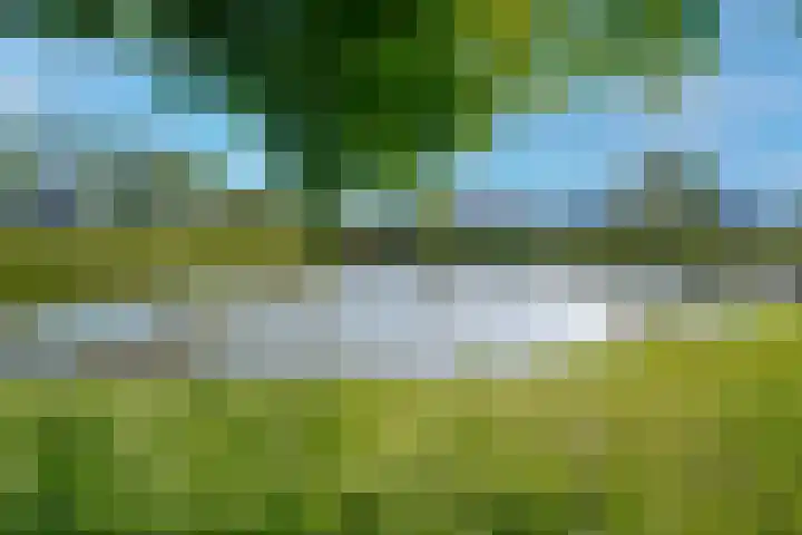 Ringoven 12 Tolkamer thumbnail 51