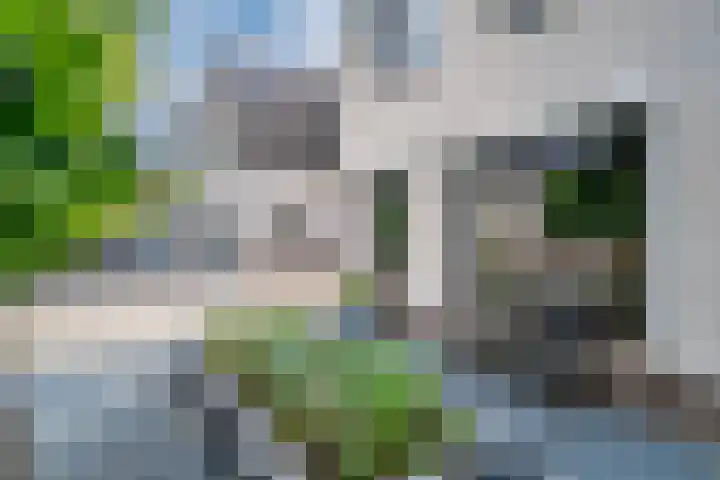 Ringoven 12 Tolkamer thumbnail 6