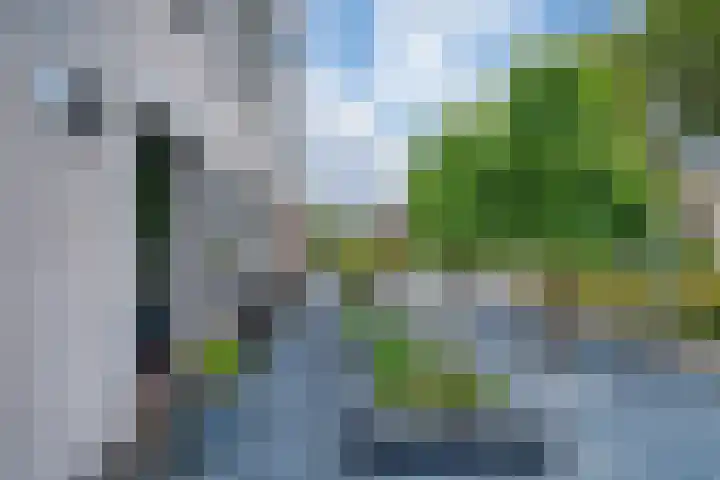 Ringoven 12 Tolkamer thumbnail 7