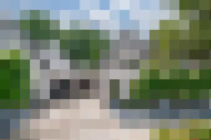 Ringoven 12 Tolkamer thumbnail 8
