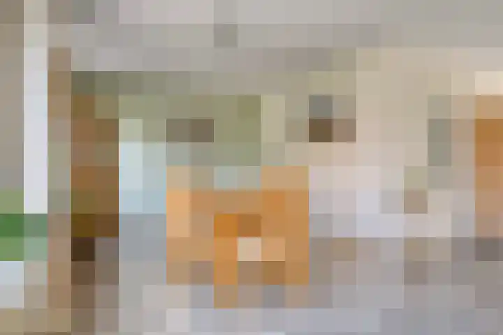 Ringoven 34 Borne thumbnail 17