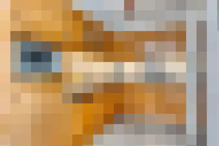 Ringoven 34 Borne thumbnail 20