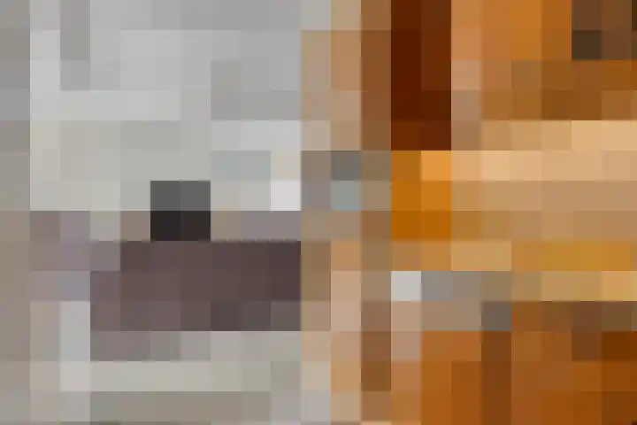 Ringoven 34 Borne thumbnail 22