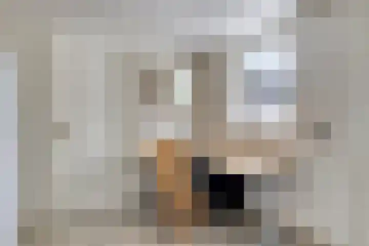 Ringoven 34 Borne thumbnail 23