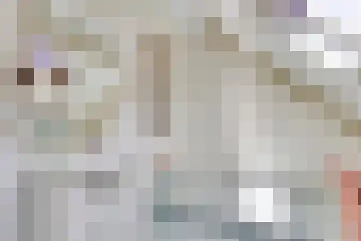 Ringoven 34 Borne thumbnail 28