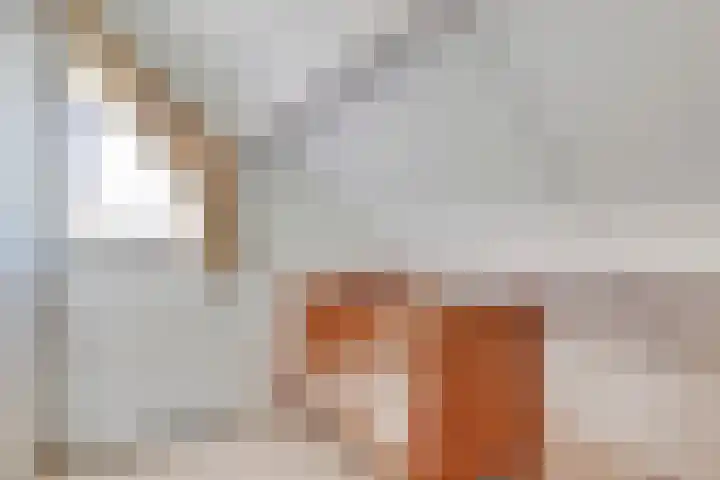 Ringoven 34 Borne thumbnail 37