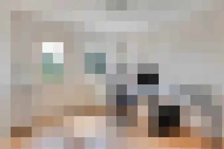 Ringoven 34 Borne thumbnail 38