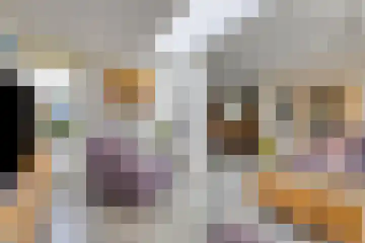 Ringoven 34 Borne thumbnail 4