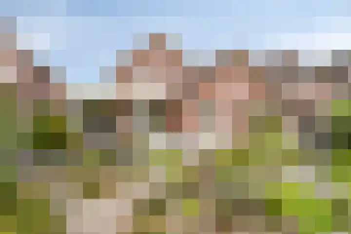 Ringoven 34 Borne thumbnail 45
