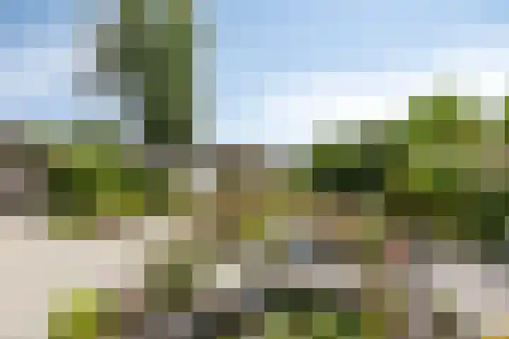 Ringoven 34 Borne thumbnail 6