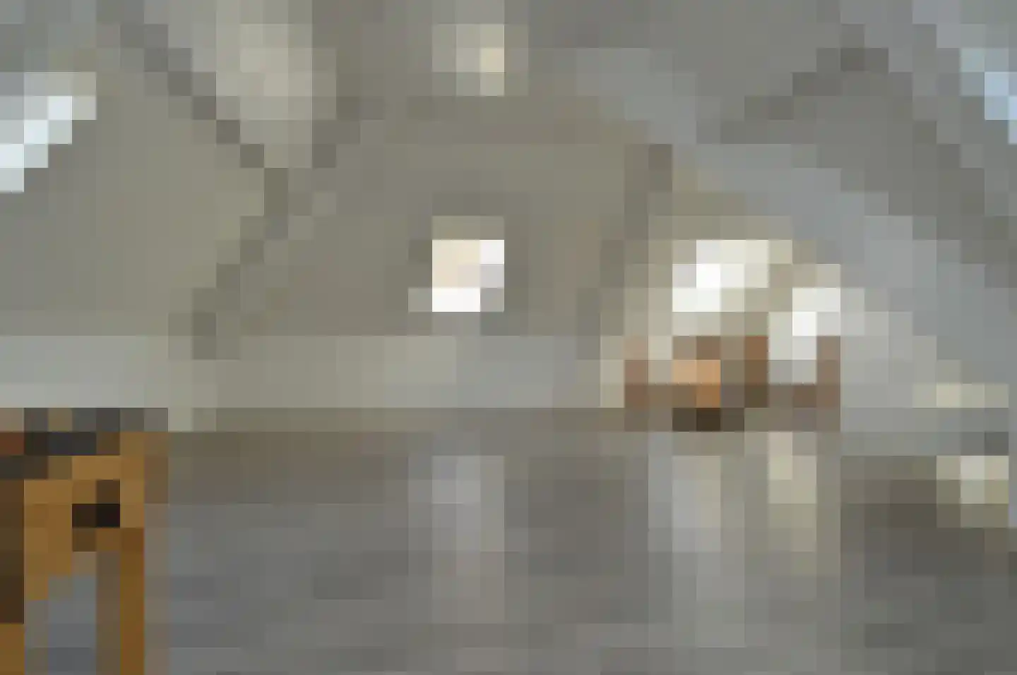 Ringoven 7 Deurne thumbnail 22