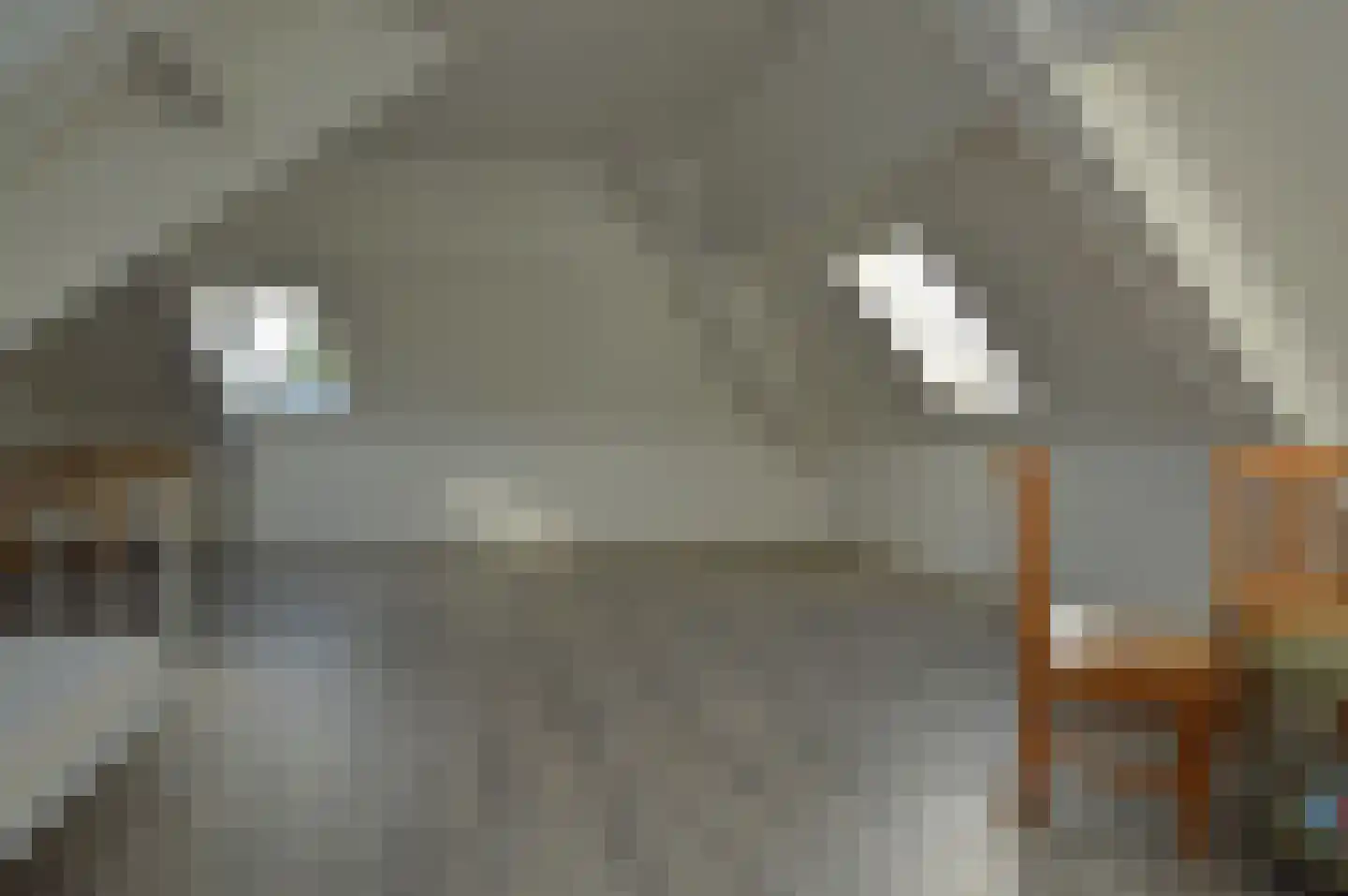 Ringoven 7 Deurne thumbnail 23