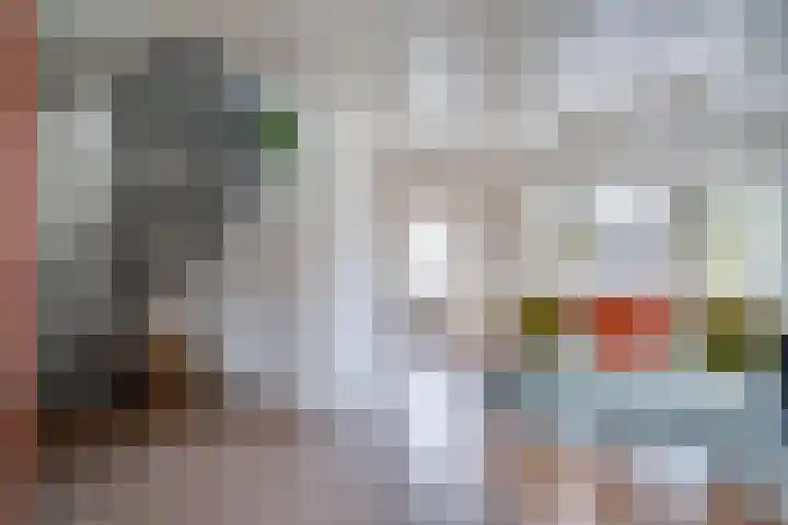 Ringovenhof 32 Tienray thumbnail 11