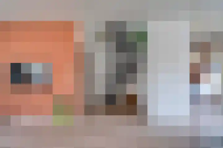 Ringovenhof 32 Tienray thumbnail 13