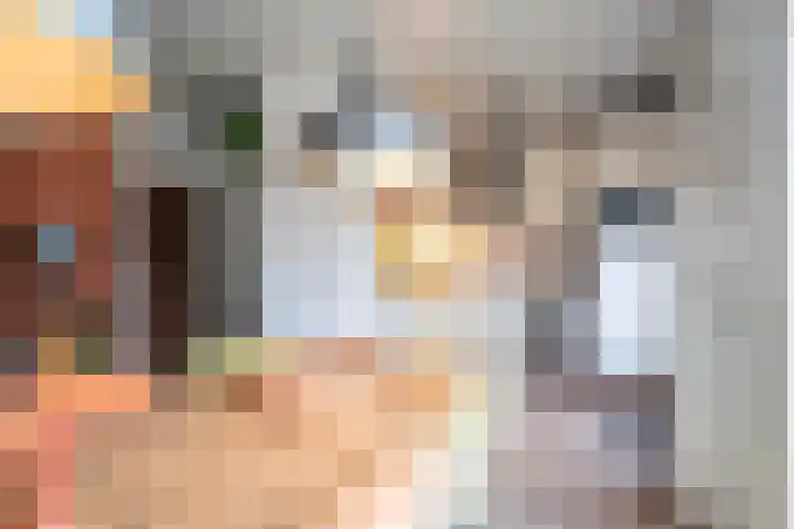 Ringovenhof 32 Tienray thumbnail 15