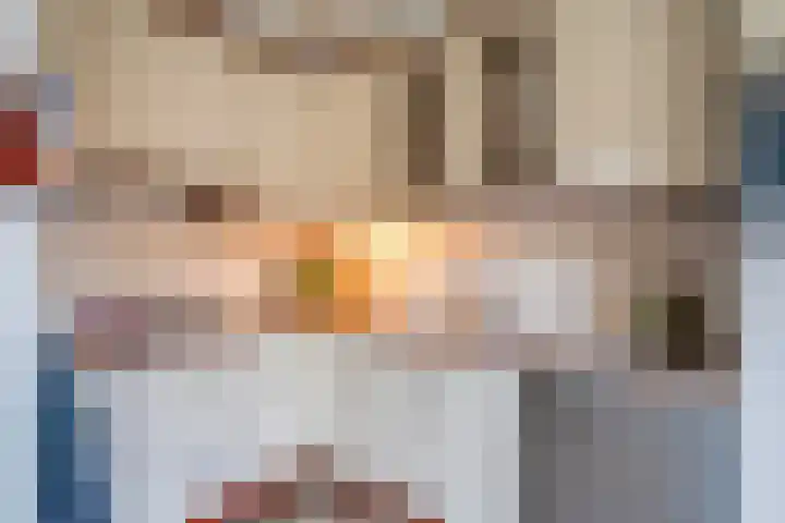 Ringovenhof 32 Tienray thumbnail 17