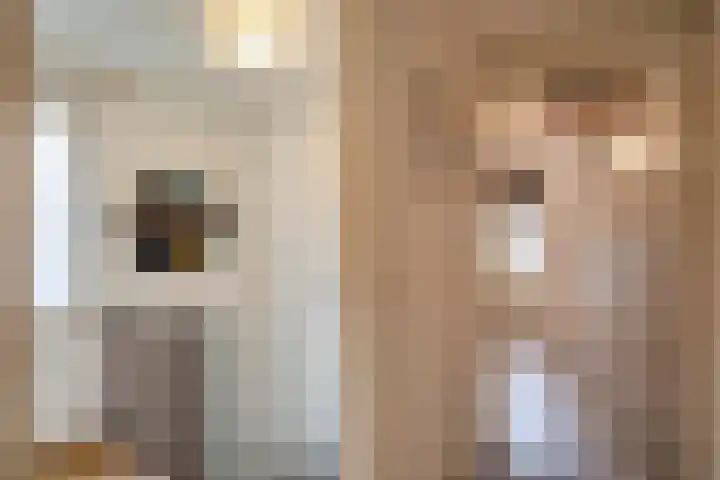 Ringovenhof 32 Tienray thumbnail 21