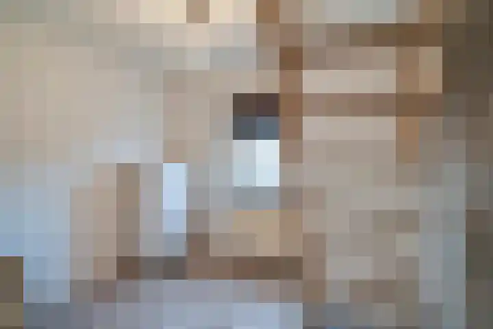 Ringovenhof 32 Tienray thumbnail 26