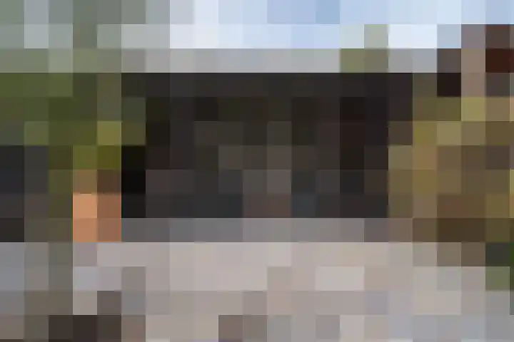 Ringovenhof 32 Tienray thumbnail 30