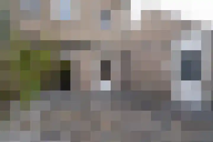 Ringovenhof 32 Tienray thumbnail 35