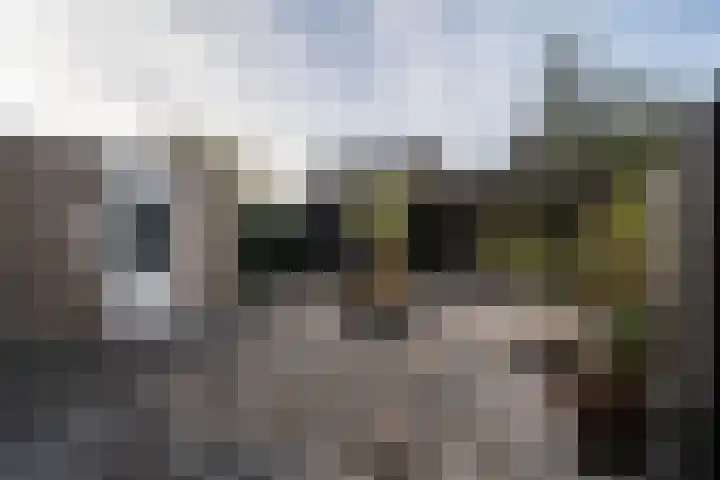 Ringovenhof 32 Tienray thumbnail 6