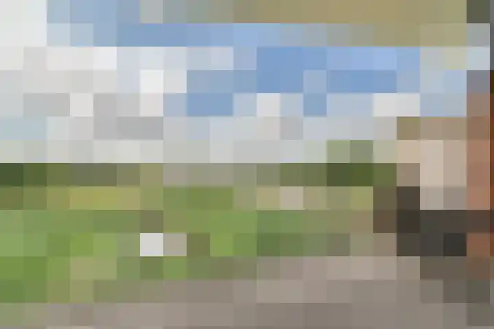 Ringslang 179 Amstelveen thumbnail 18