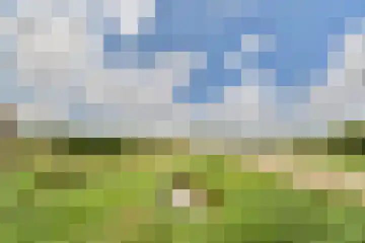 Ringslang 179 Amstelveen thumbnail 20